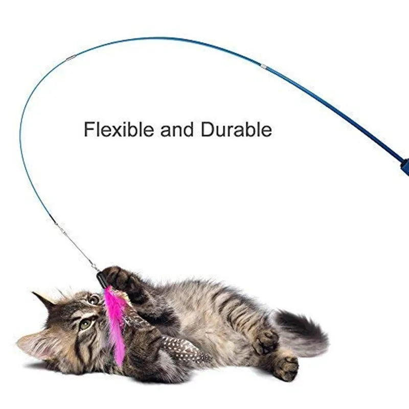 Retractable Cat Wand Teaser with Feather