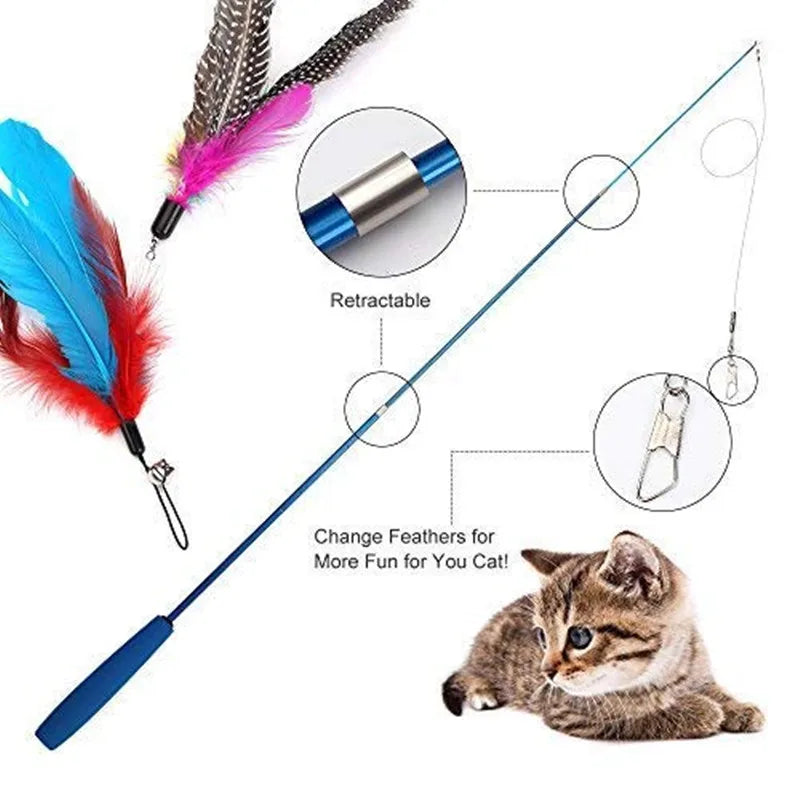 Retractable Cat Wand Teaser with Feather