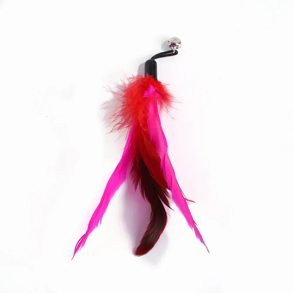 Interactive Feather Attachments
