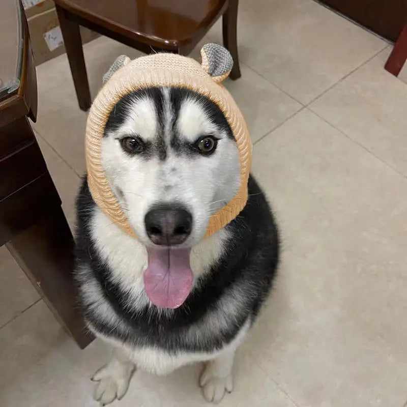 Cosy Dog Ear Protection Hat - Winter Knit Earmuffs & Anxiety Relief