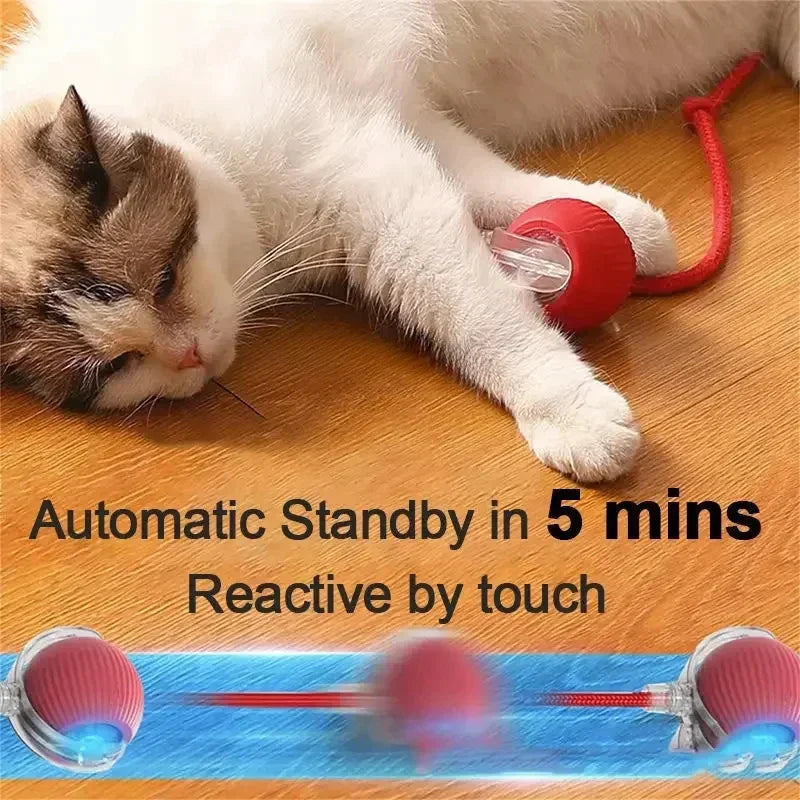 Interactive Rolling Cat Toy: Automatic Entertainment for Felines