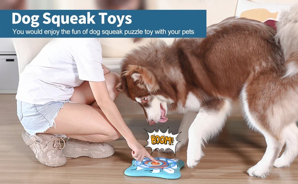 Interactive Puzzle Toy