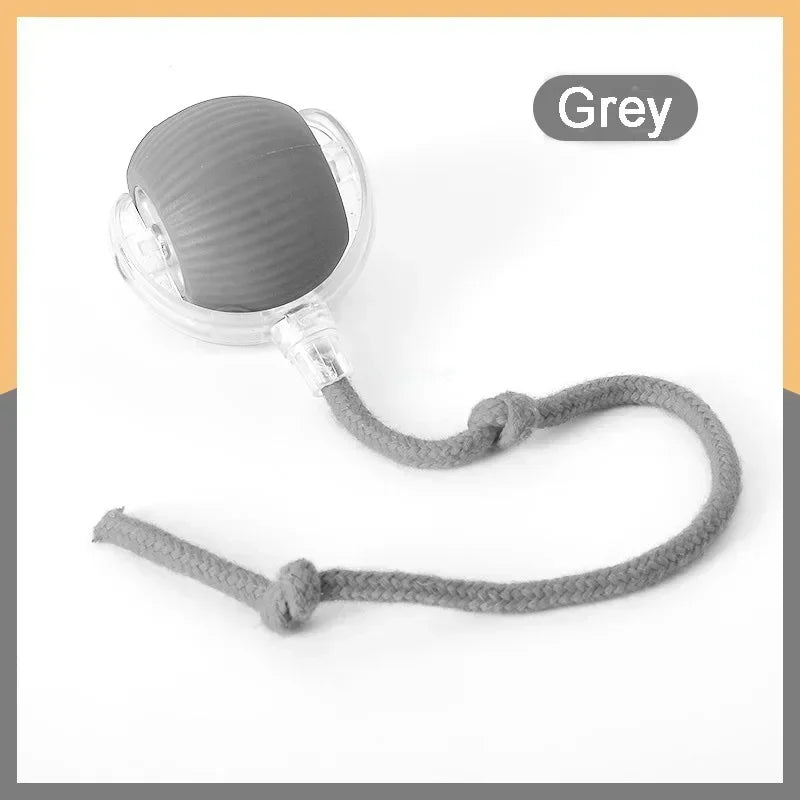 Interactive Rolling Cat Toy: Automatic Entertainment for Felines