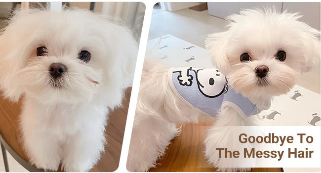 4-In-1 Pet Grooming Kit
