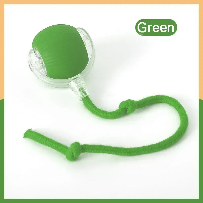 Interactive Rolling Cat Toy: Automatic Entertainment for Felines