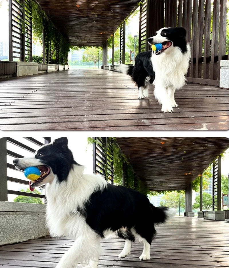 Squeaky Ball