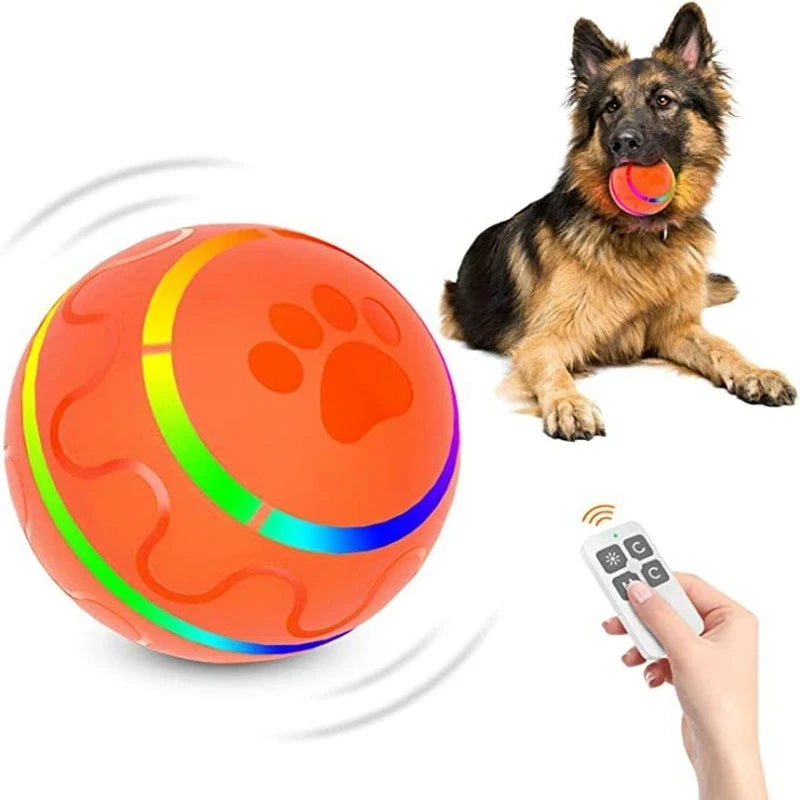 Interactive Pet Ball