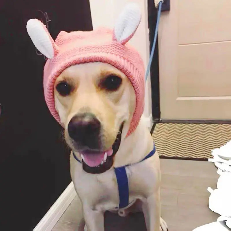 Cosy Dog Ear Protection Hat - Winter Knit Earmuffs & Anxiety Relief