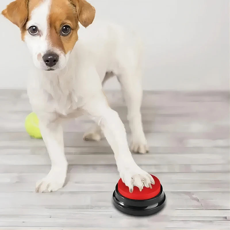 Interactive Voice Recording Pet Button: Perfect for Training & Communication
