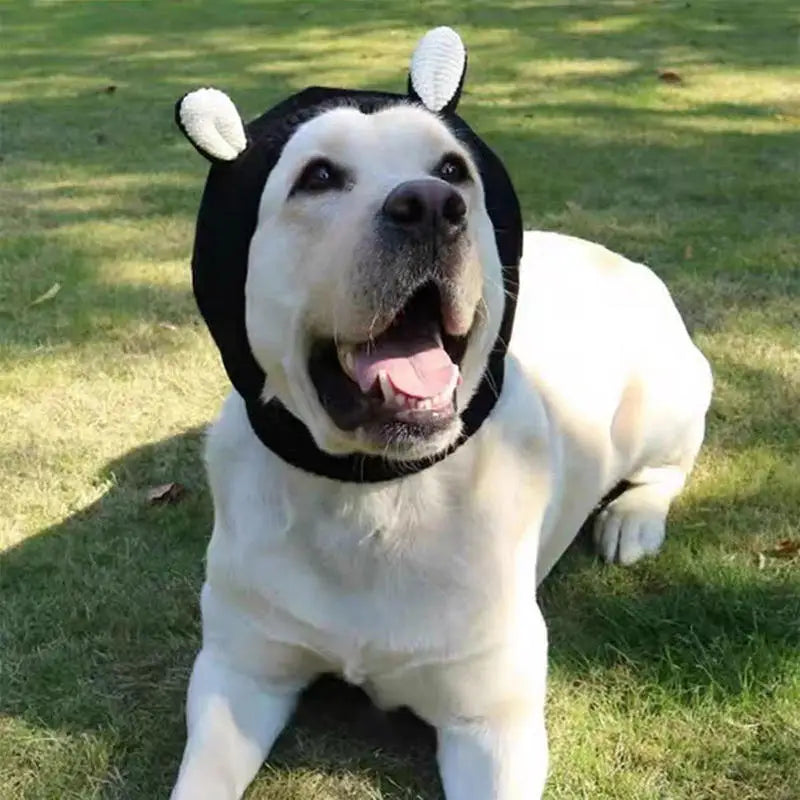 Cosy Dog Ear Protection Hat - Winter Knit Earmuffs & Anxiety Relief