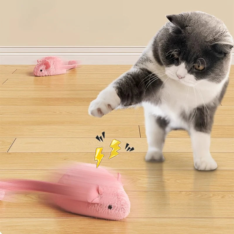 Interactive Light-Up Mouse Toy