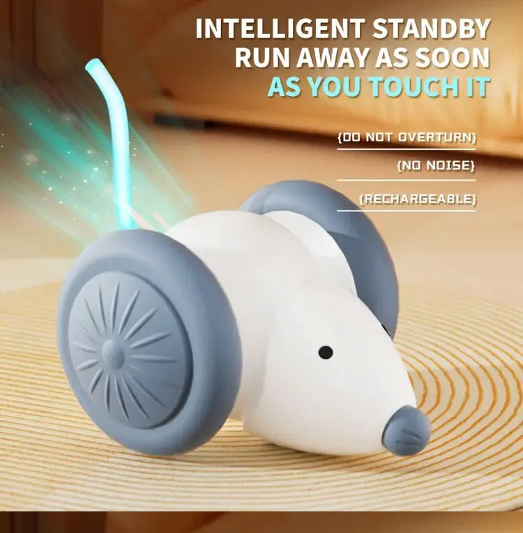 ChaseBot Interactive Mouse Car