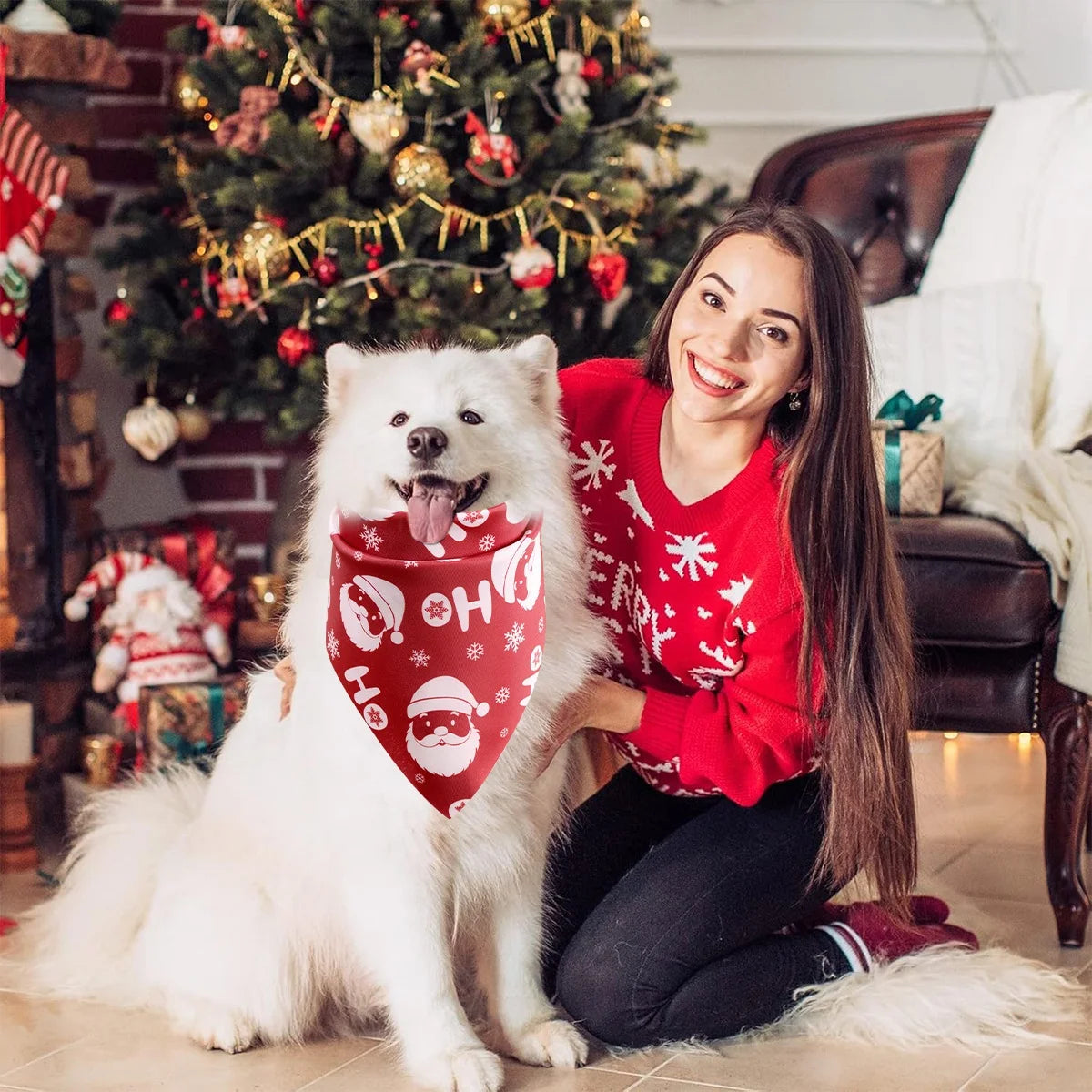 Festive Pet Bandana Collection