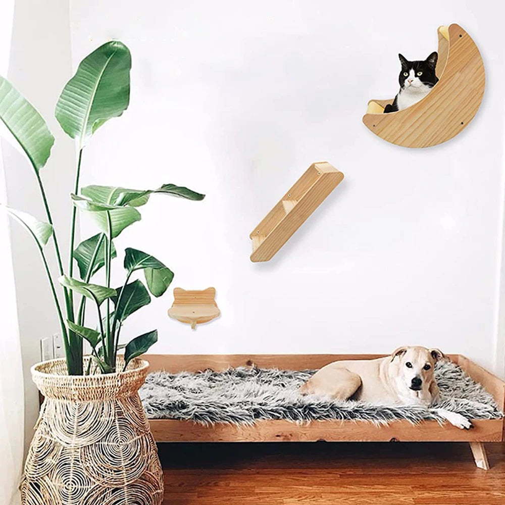 Innovative Moon-Shaped Cat Wall Shelves: Elevate Your Feline's Living Space
