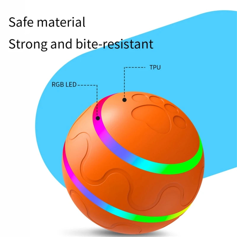 Interactive Pet Ball