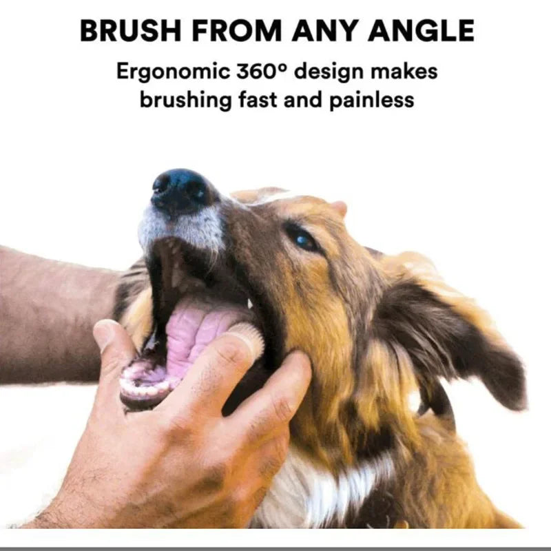 Pet Toothbrush Finger Set