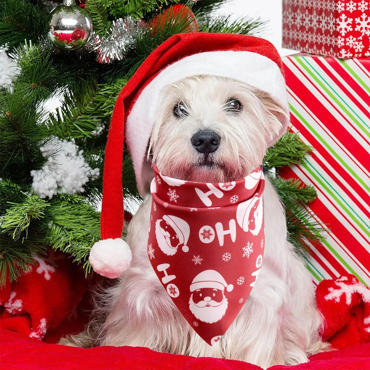 Festive Pet Bandana Collection
