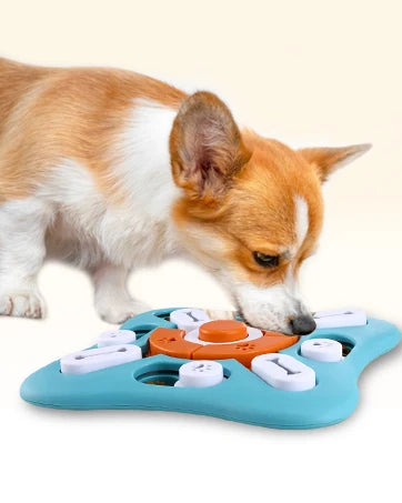 Interactive Puzzle Toy