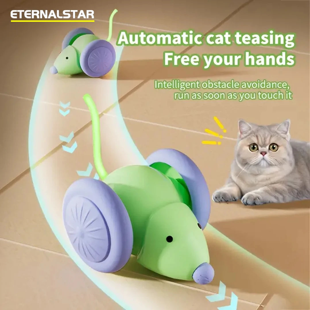 ChaseBot Interactive Mouse Car