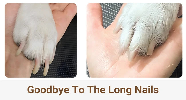4-In-1 Pet Grooming Kit