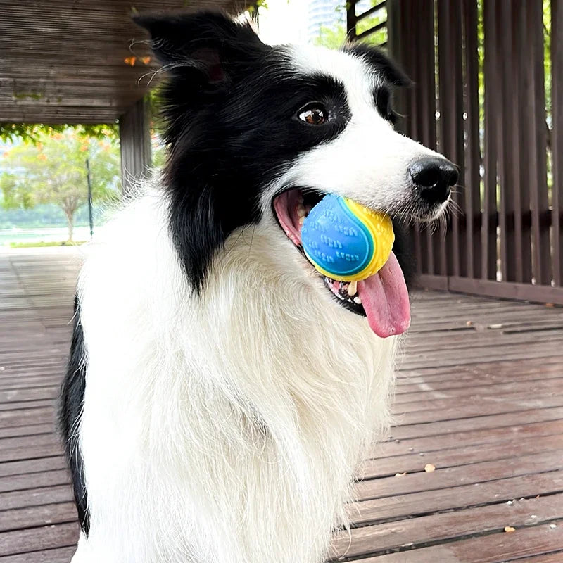 Squeaky Ball