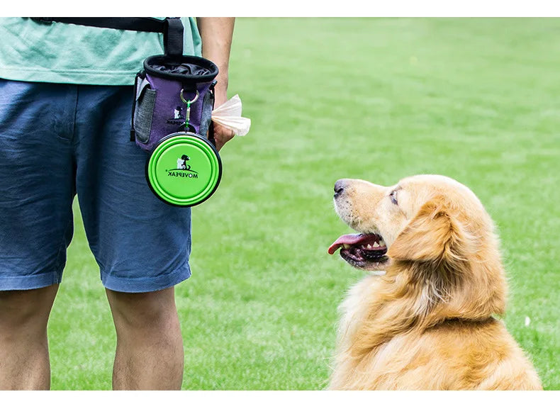 Eco-Friendly Dog Waste Bags