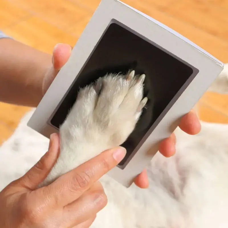 Cherished Memories: Pet Paw Print Impression Kit