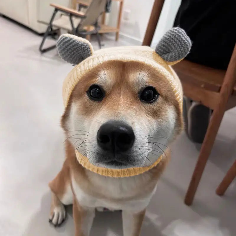 Cosy Dog Ear Protection Hat - Winter Knit Earmuffs & Anxiety Relief
