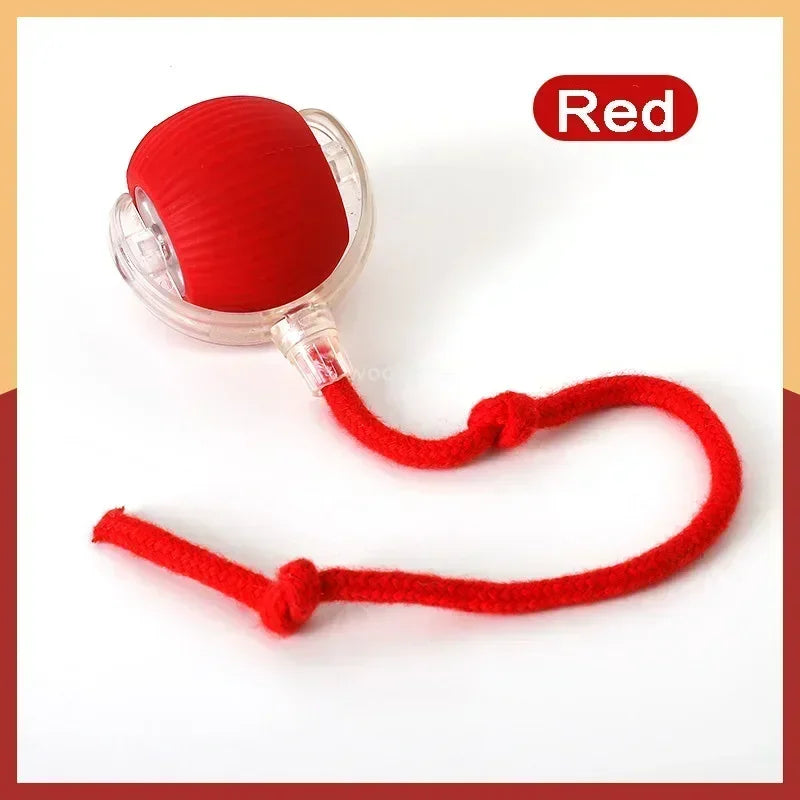 Interactive Rolling Cat Toy: Automatic Entertainment for Felines