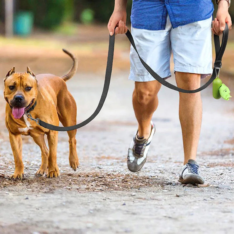 Reflective Dog Lead