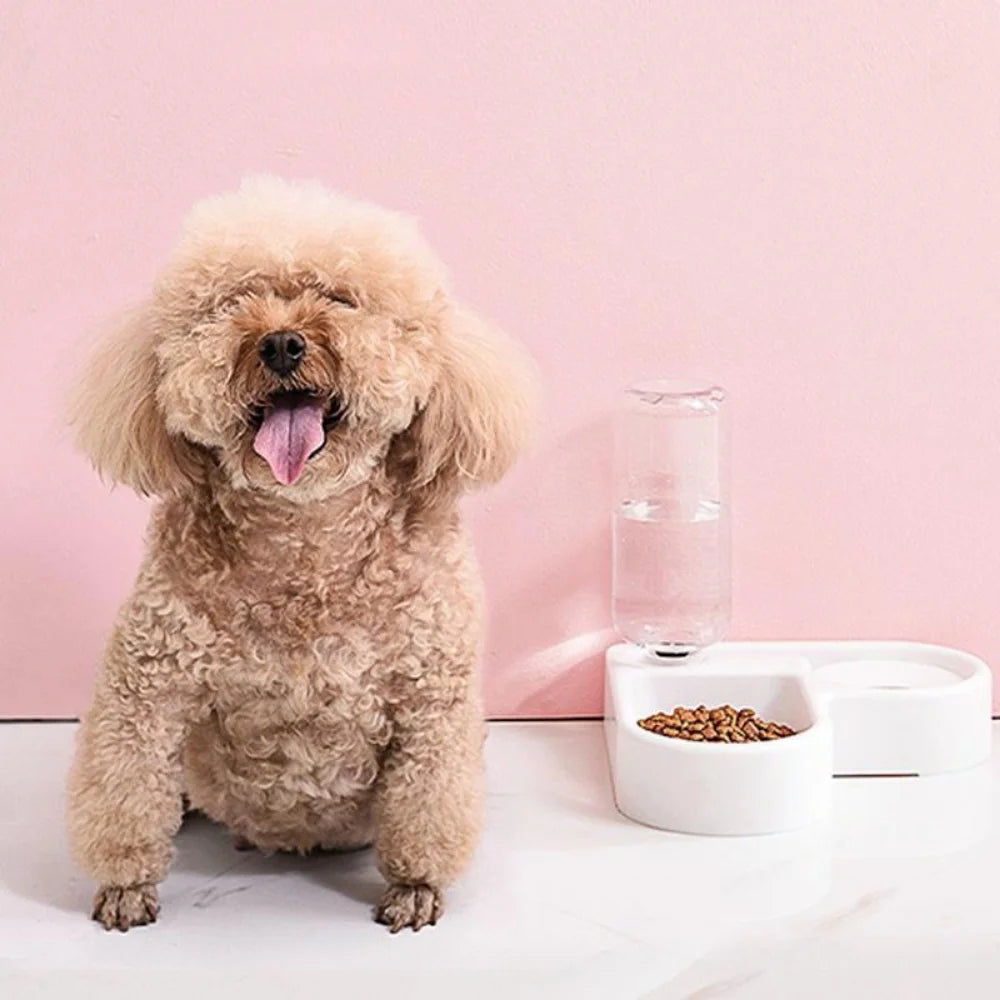 Auto-Refill Pet Water Dispenser with Food Bowl (500ml)