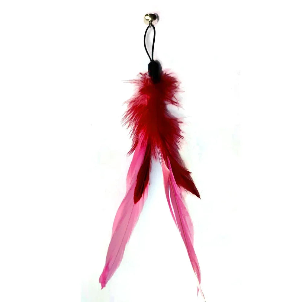 Interactive Feather Attachments