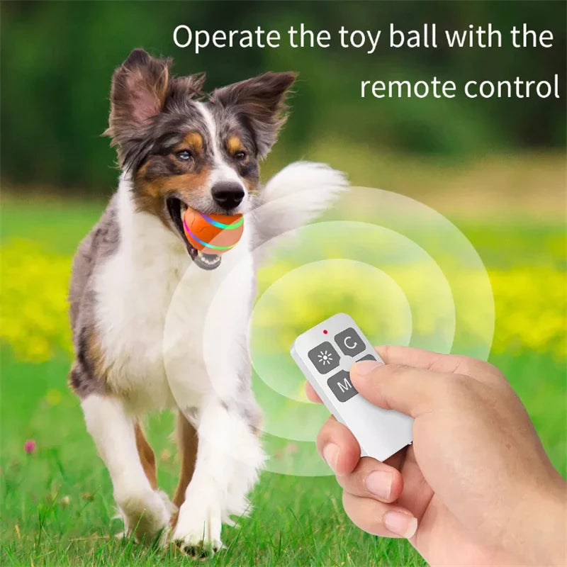 Interactive Pet Ball