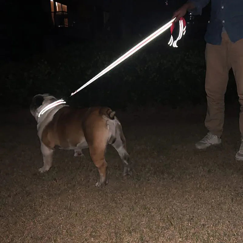 Reflective Dog Lead