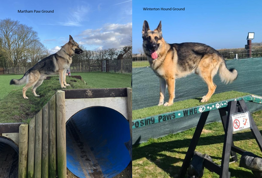 Zeus' Favourite Local Playgrounds!