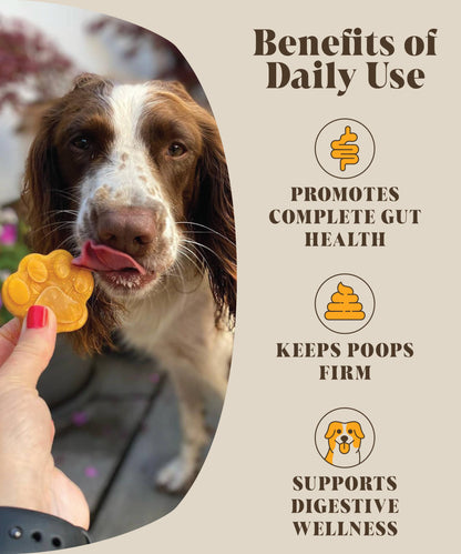Hackney Dog House | Pre & Probiotics For Dogs | Real Pumpkin Powder + Probiotic