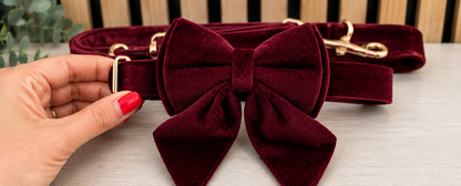 Velvet Collar, Bow & Lead Set