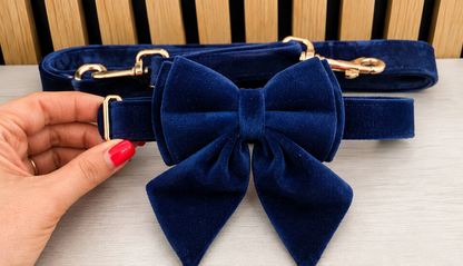 Velvet Collar, Bow & Lead Set