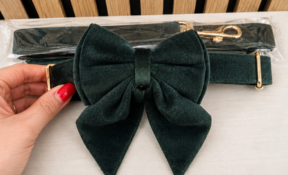 Velvet Collar, Bow & Lead Set