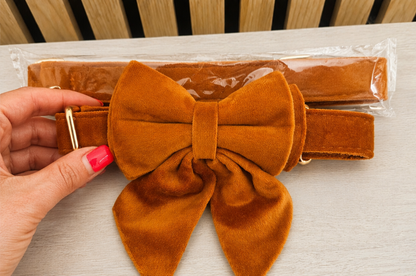 Velvet Collar, Bow & Lead Set