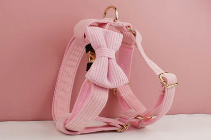 Light Pink Corduroy Walking Set