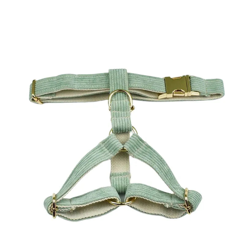 Light Green Corduroy Walking Set