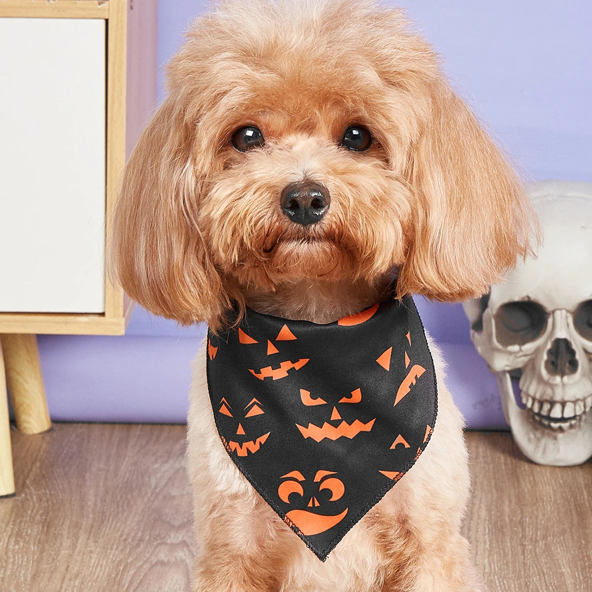 Halloween Dog Bandana – Pumpkin & Skeleton Scarf Designs
