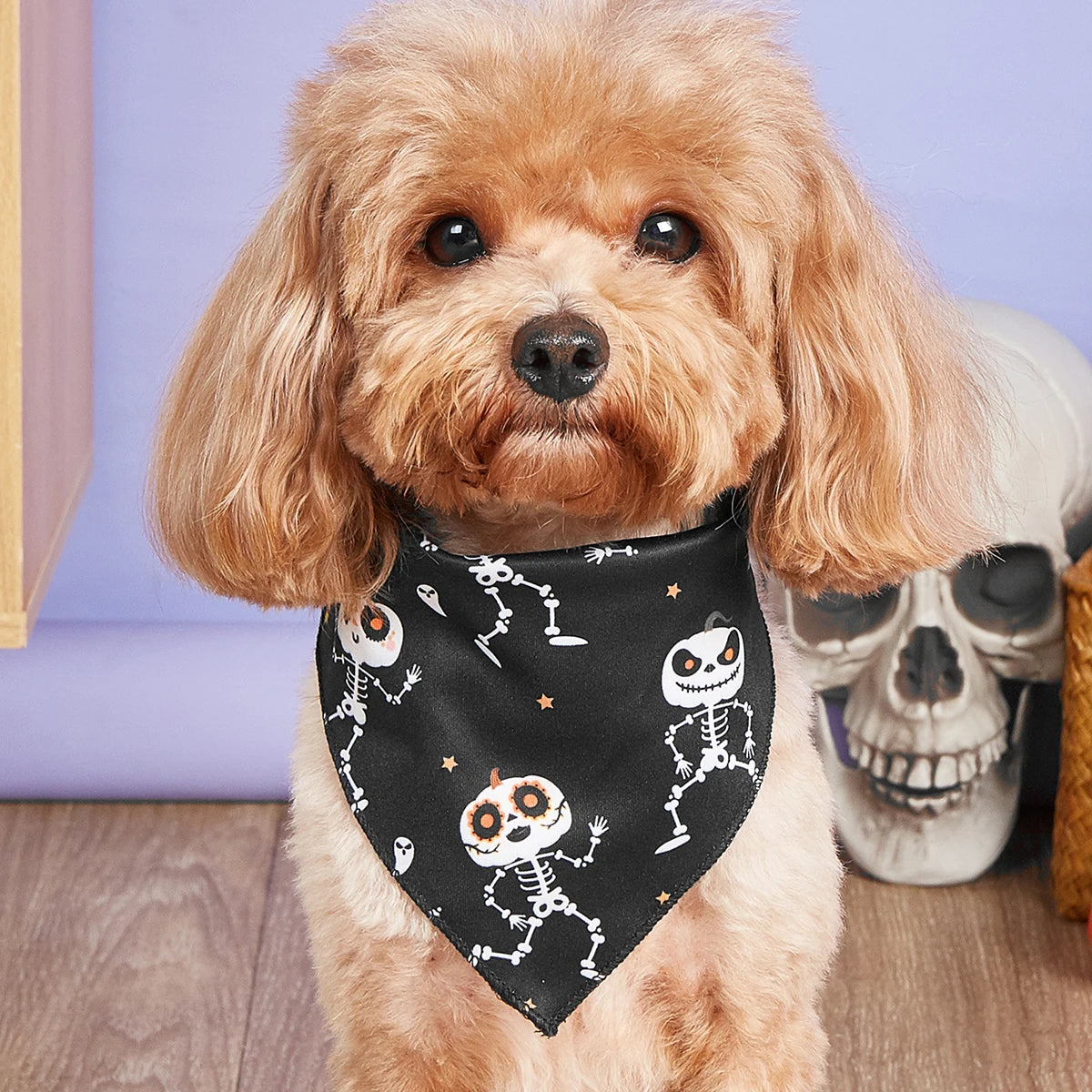 Halloween Dog Bandana – Pumpkin & Skeleton Scarf Designs