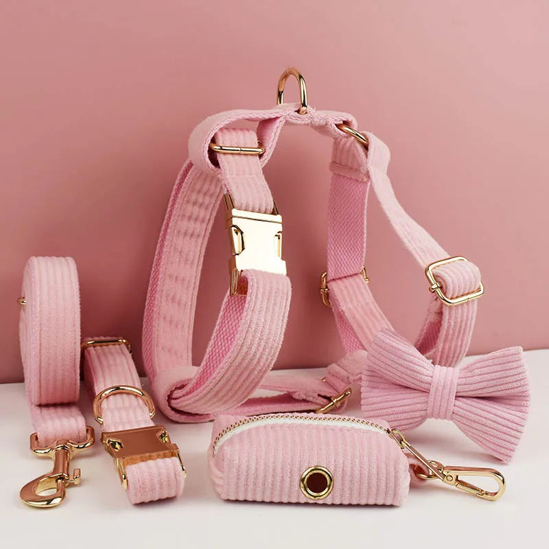 Light Pink Corduroy Walking Set