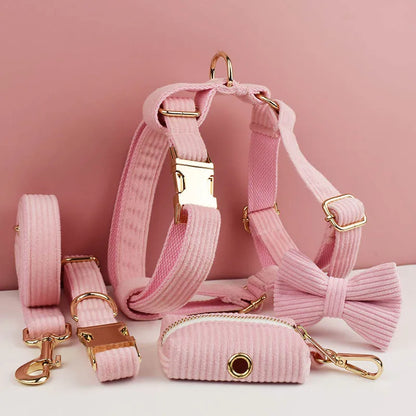 Light Pink Corduroy Walking Set