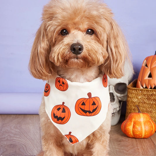 Halloween Dog Bandana – Pumpkin & Skeleton Scarf Designs