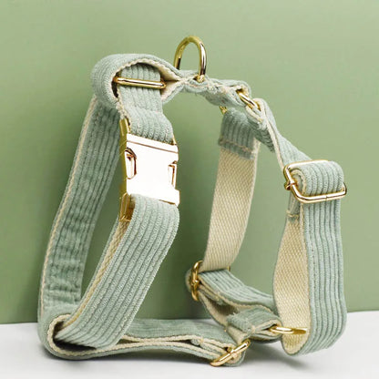 Light Green Corduroy Walking Set