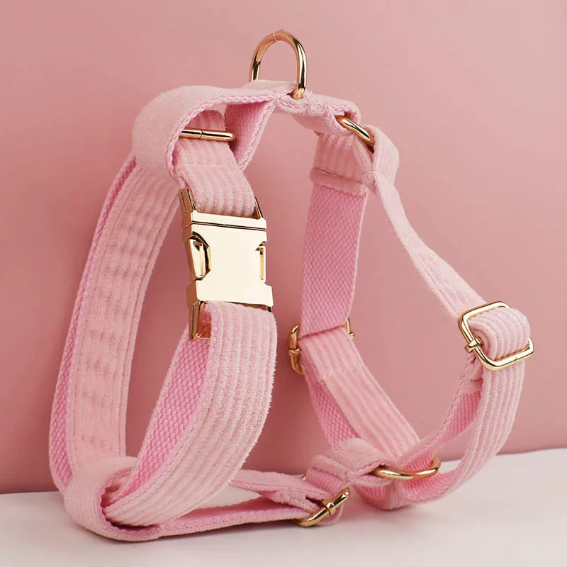 Light Pink Corduroy Walking Set