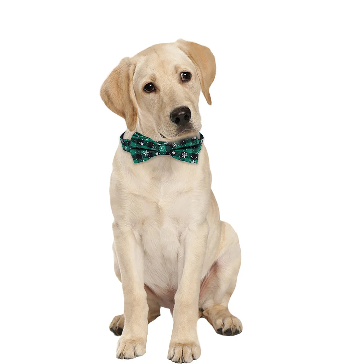 Christmas Plaid Pet Collar with Bow Tie - All Sizes